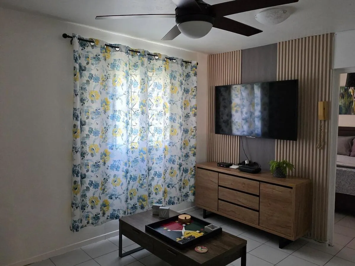 金斯敦Stylish 2BR Prime Location Gated 24 7 Secure公寓